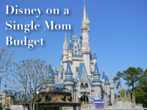 DisneySMBudgetLg