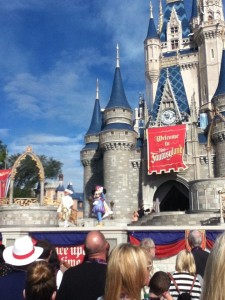New Fantasyland Cinderella's Castle