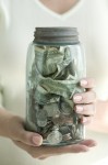 Jar of Money