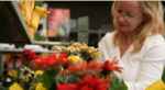start a business 4 RSM