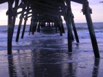 DSCN4524