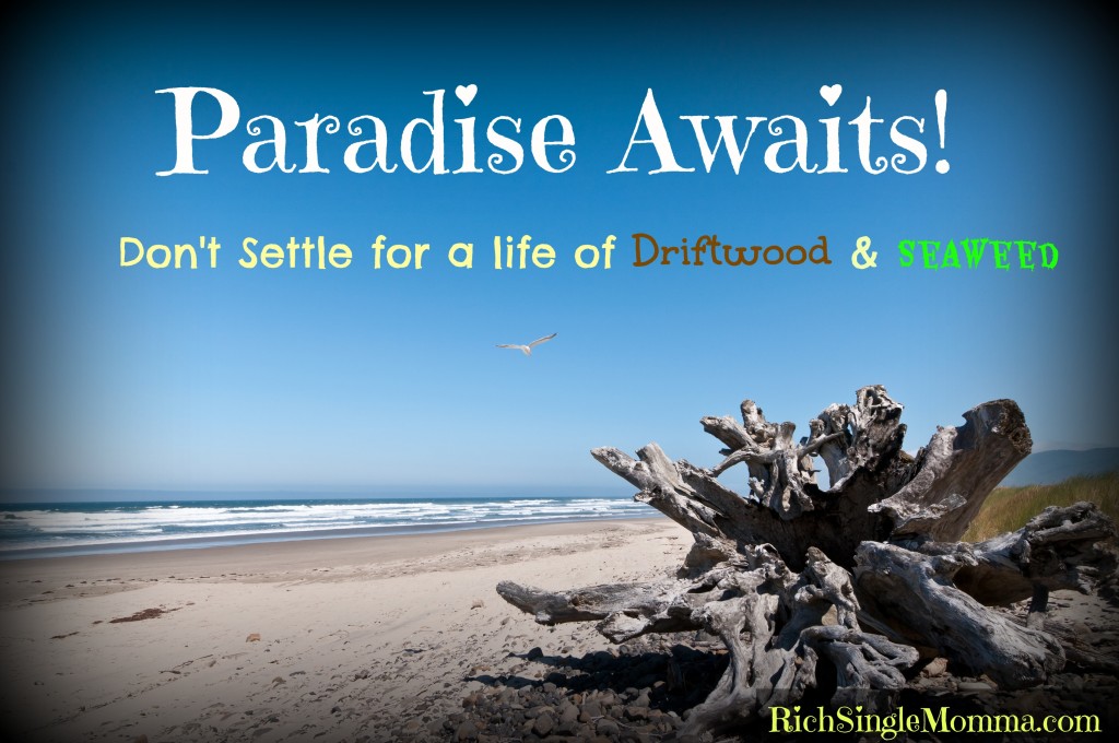 DriftwoodSeaweedParadise